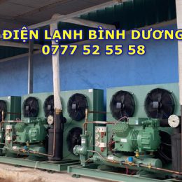 Sửa chữa điện lạnh công nghiệp Bình Dương